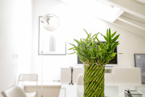 Build Beautiful Websites